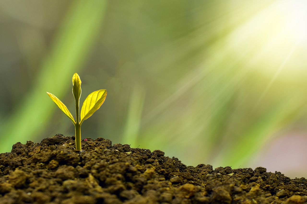 discover the essentials of investment, including strategies, tips, and the latest trends to help you make informed financial decisions and grow your wealth.