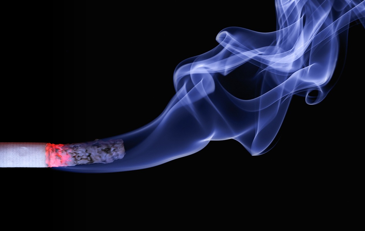 What daily habits separate high-performing entrepreneurs from the rest?