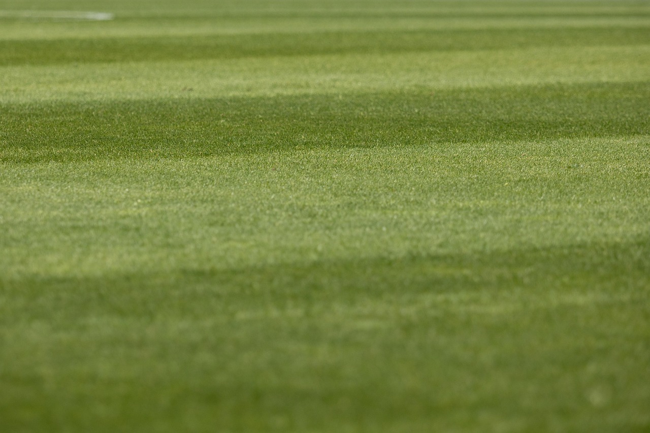 How do you prepare for your first investor pitch?
