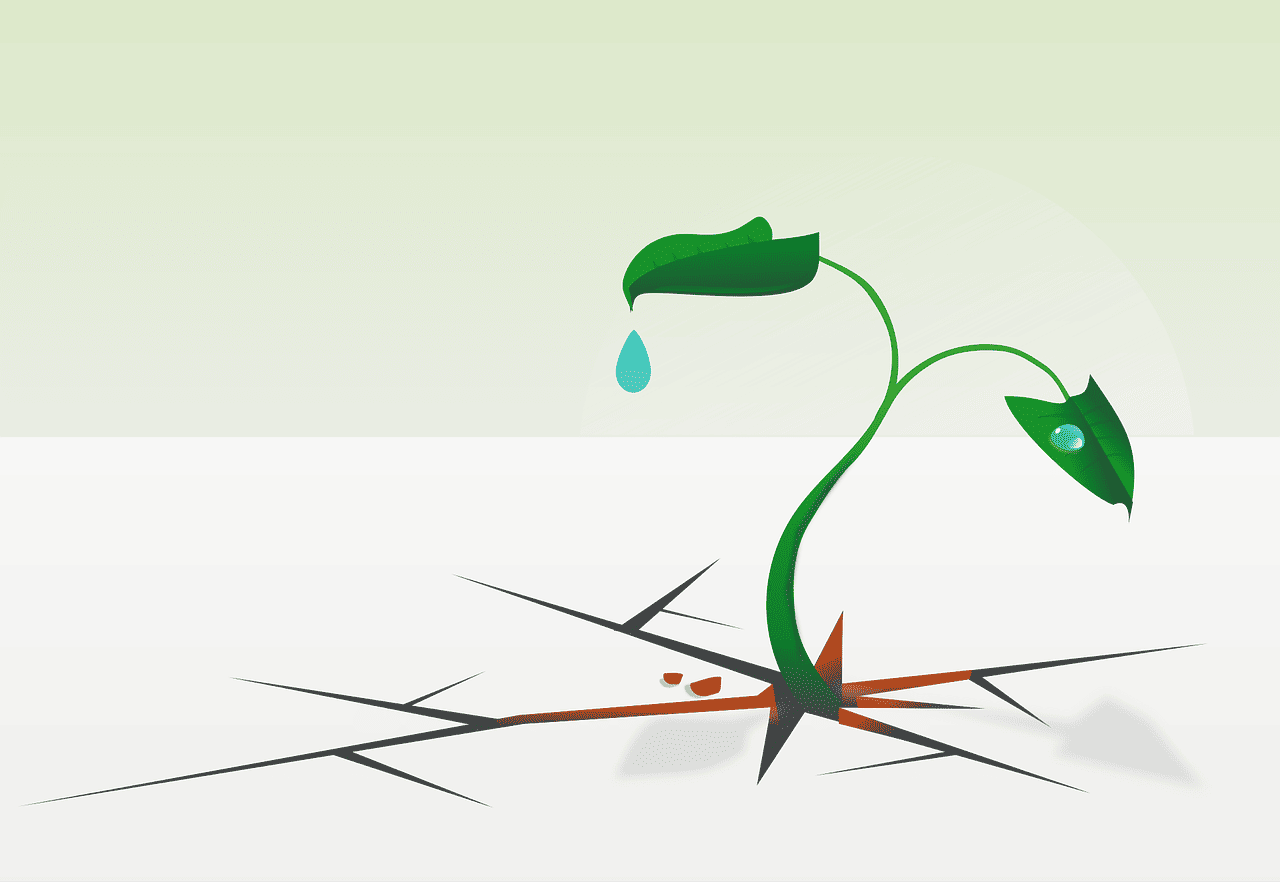 How Do You Build a Resilient Entrepreneur Mindset?