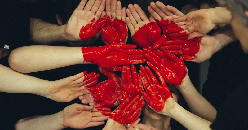 What are the 7 principles of partnership?