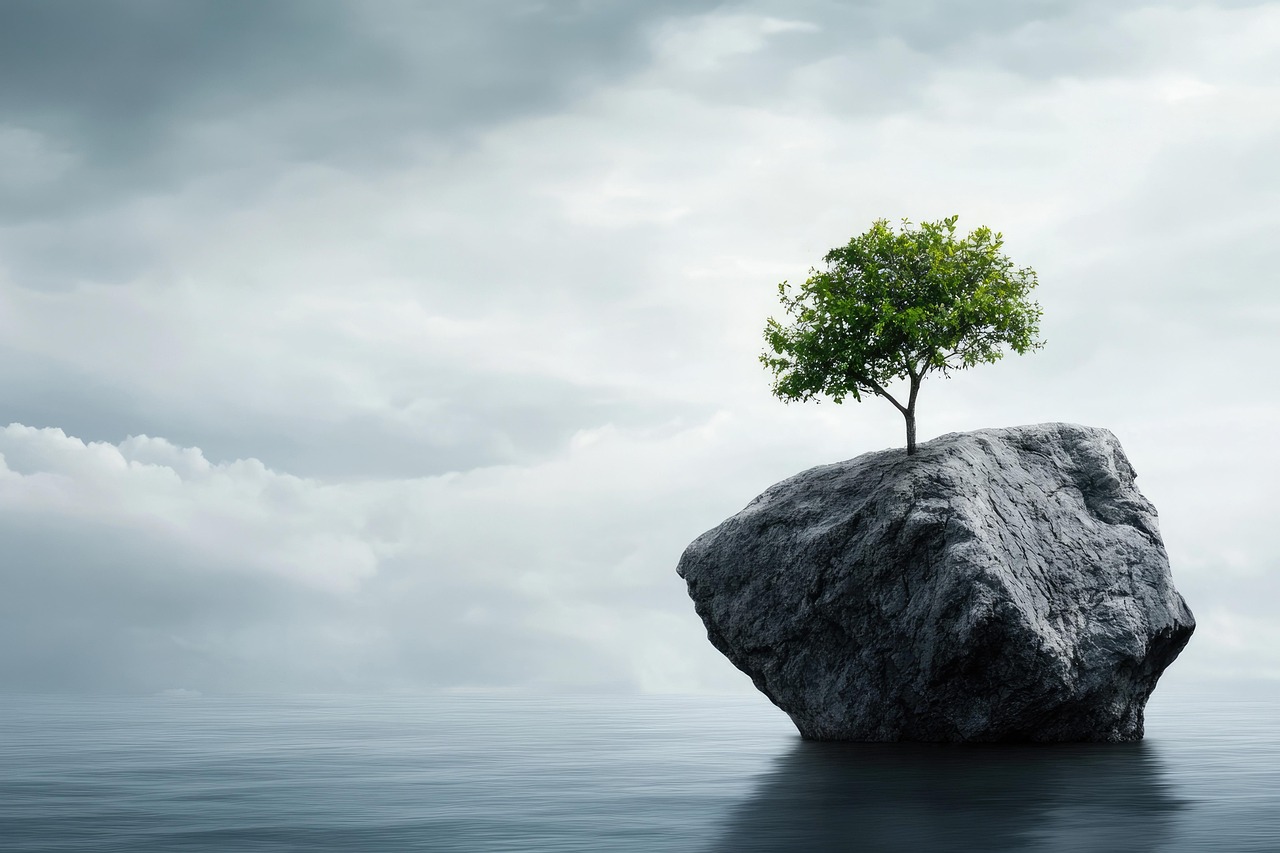 discover the true meaning of resilience, explore its importance in overcoming challenges, and learn practical strategies to build a stronger, more resilient mindset in everyday life.