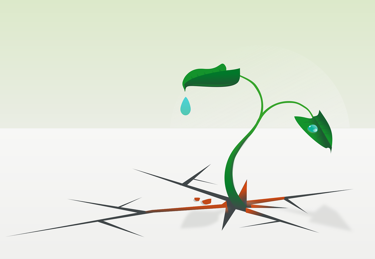 discover the meaning of resilience, its importance in overcoming challenges, and practical tips to build a stronger, more resilient mindset for personal and professional growth.