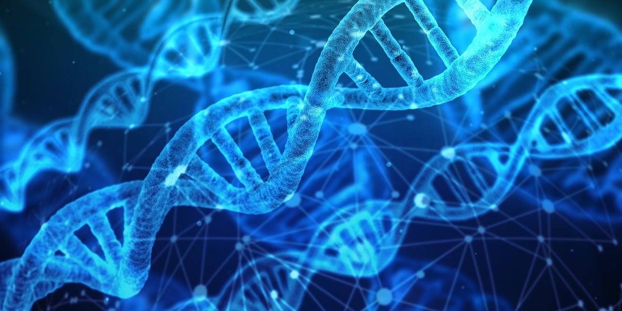discover the latest trends, breakthroughs, and insights in innovation. explore how creative ideas and advanced technologies are shaping the future across various industries.