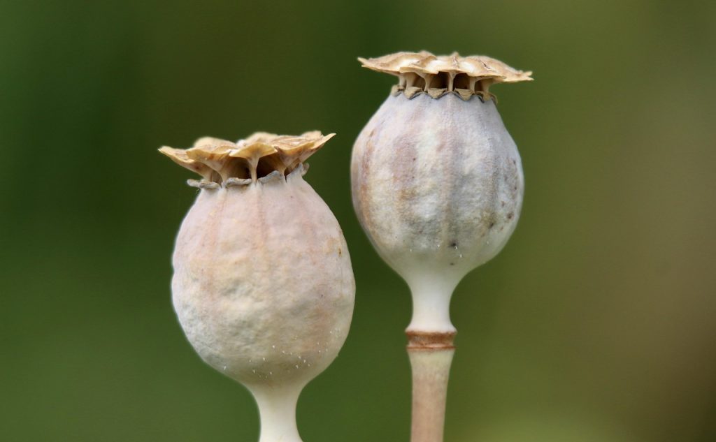 discover what seed funding is, how it works, and why it's essential for startups. learn about key benefits, sources, and tips for securing early-stage investment.