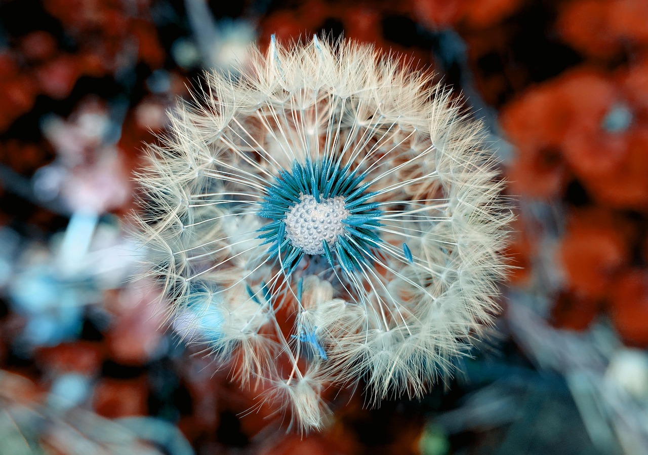 discover what seed funding is, its importance for startups, and how early-stage businesses can secure initial capital from investors to fuel growth and innovation.